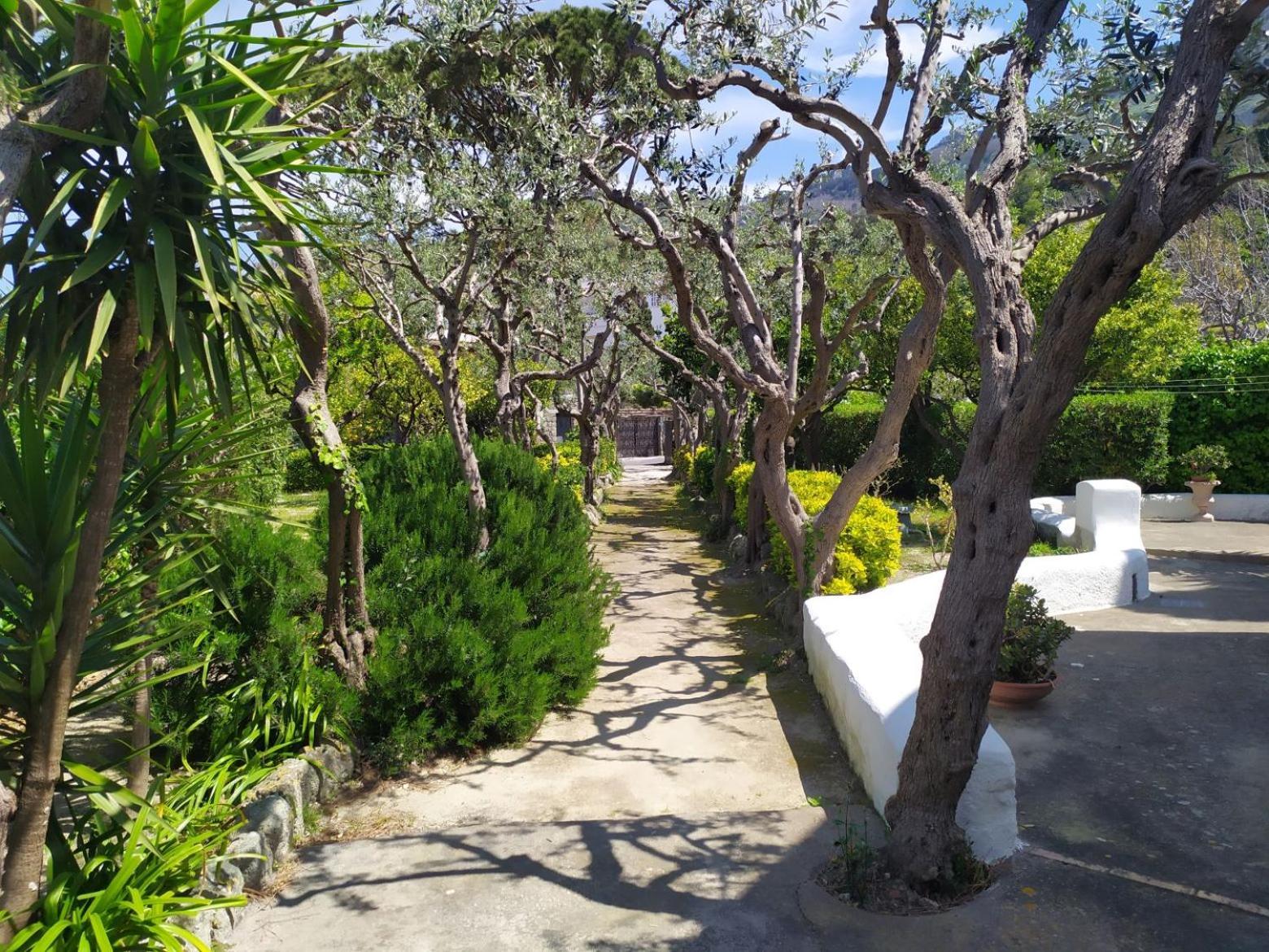 Villa Ravino Secret Retreat Forio (Isola d'Ischia) Exterior foto