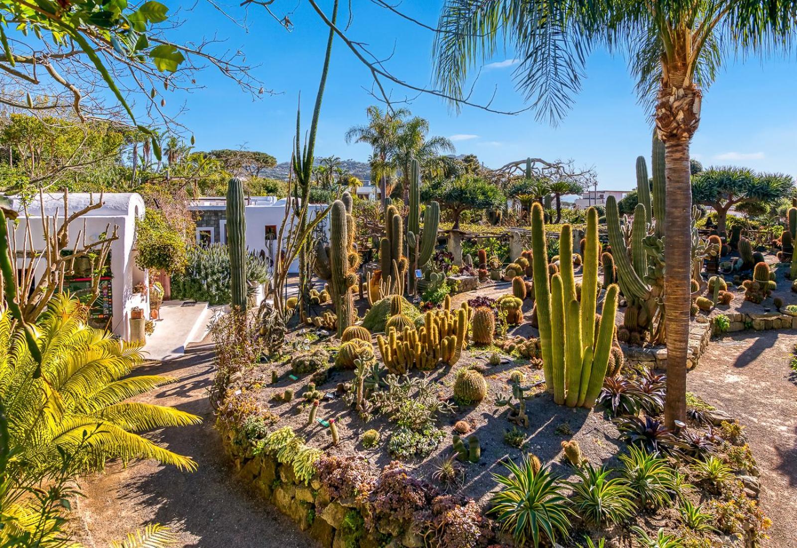 Villa Ravino Secret Retreat Forio (Isola d'Ischia) Exterior foto